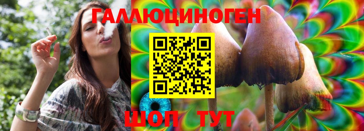 Галлюциногенные грибы GOLDEN TEACHER Мыски